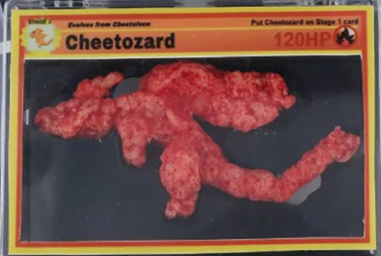 포켓몬스터 캐릭터를 닮아 화제가 된 '치토자드'.<뉴욕포스트 보도 캡처>